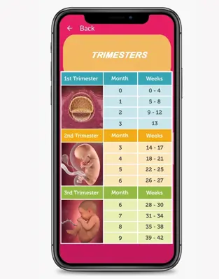 Pregnancy App android App screenshot 13